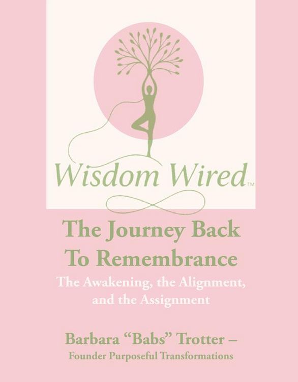 Produktbild: Wisdom Wired