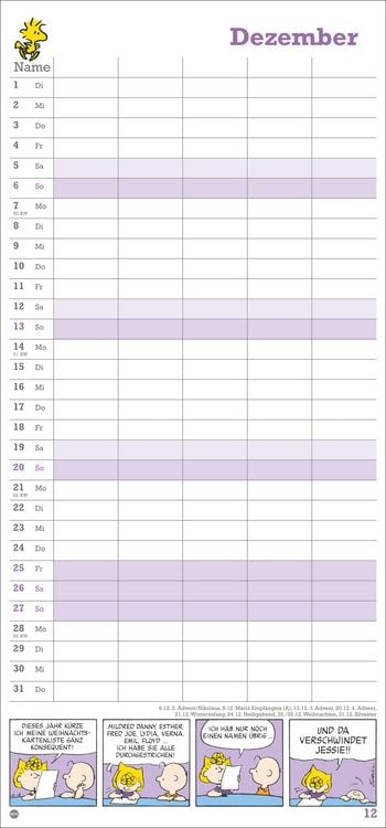 Produktbild: Peanuts Familienplaner 2026