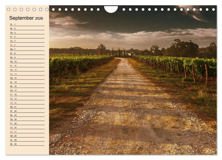 Produktbild: Weinanbau. Von der Traube zum Wein (Wandkalender 2026 DIN A4 quer), CALVENDO Monatskalender