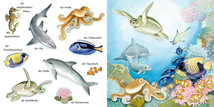 Produktbild: Mein kleines buntes Bildw&ouml;rterbuch: Tiere im und am Wasser