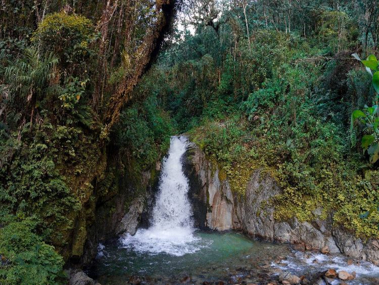 Produktbild: CALVENDO Puzzle Regenwald bei Aguas Calientes, Peru | 1000 Teile Lege-Gr&ouml;&szlig;e 64x48cm Foto-Puzzle f&uuml;r gl&uuml;ckliche Stunden