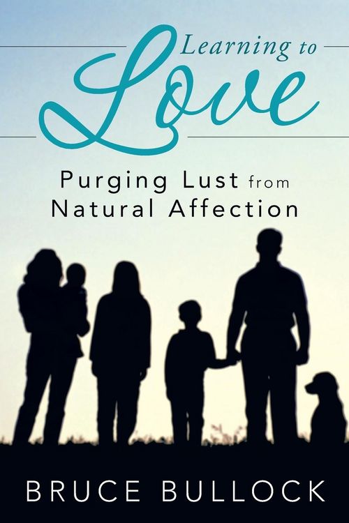 Produktbild: Learning to Love