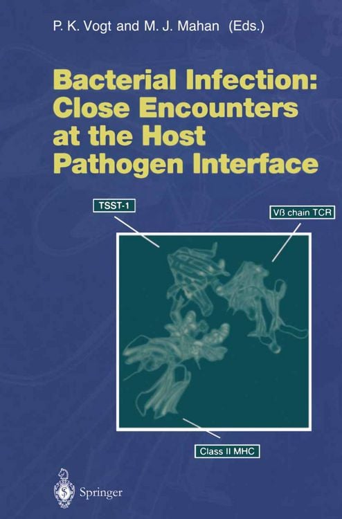 Produktbild: Bacterial Infection: Close Encounters at the Host Pathogen Interface