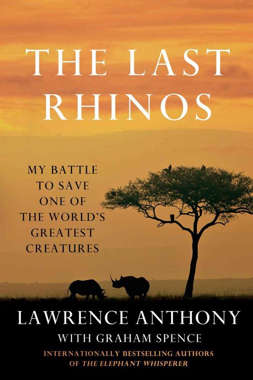 Produktbild: Last Rhinos