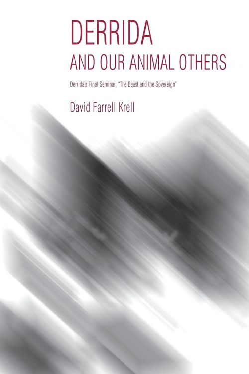 Produktbild: Derrida and Our Animal Others