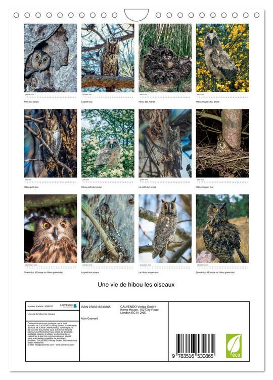 Produktbild: Une vie de hibou les oiseaux (Calendrier mural 2026 DIN A4 horizontal), CALVENDO calendrier mensuel
