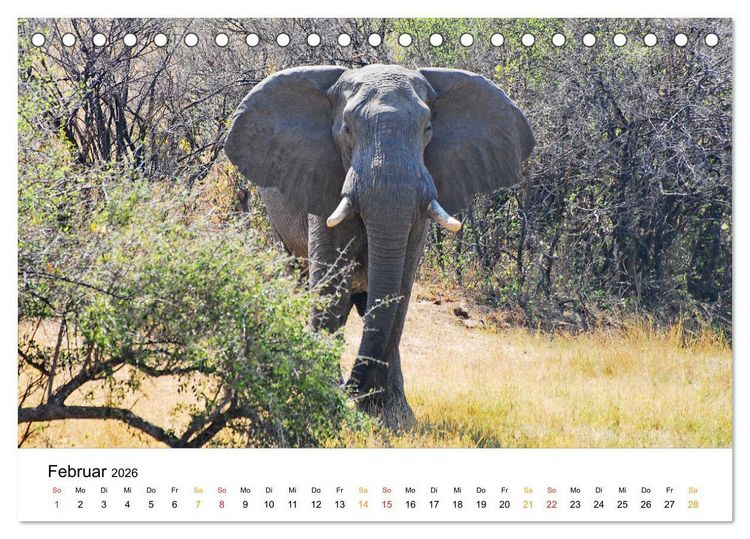 Produktbild: Elefanten Impressionen (Tischkalender 2026 DIN A5 quer), CALVENDO Monatskalender