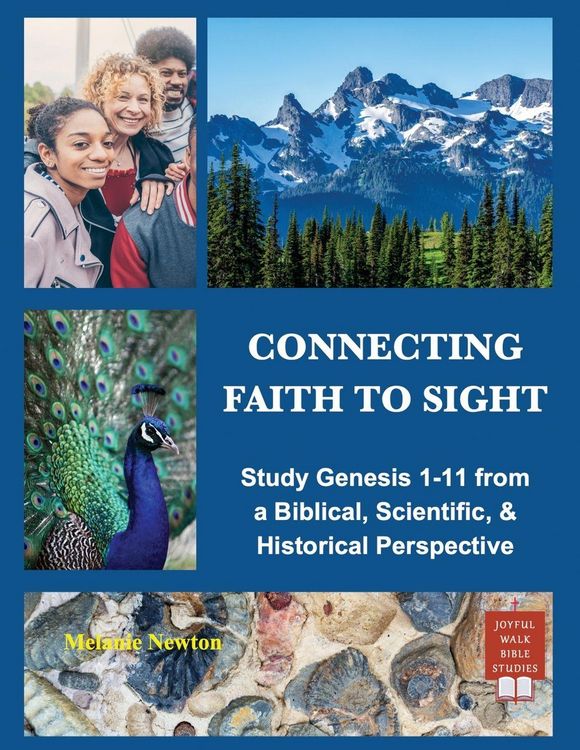 Produktbild: Connecting Faith to Sight