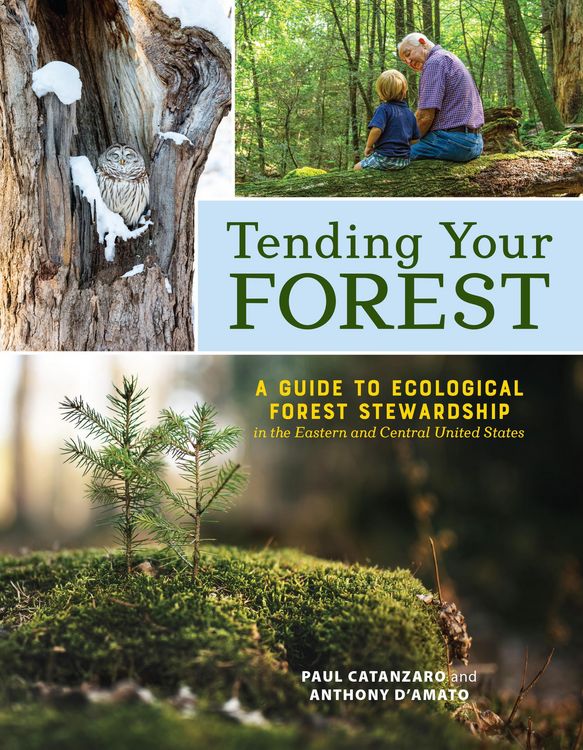 Produktbild: Tending Your Forest