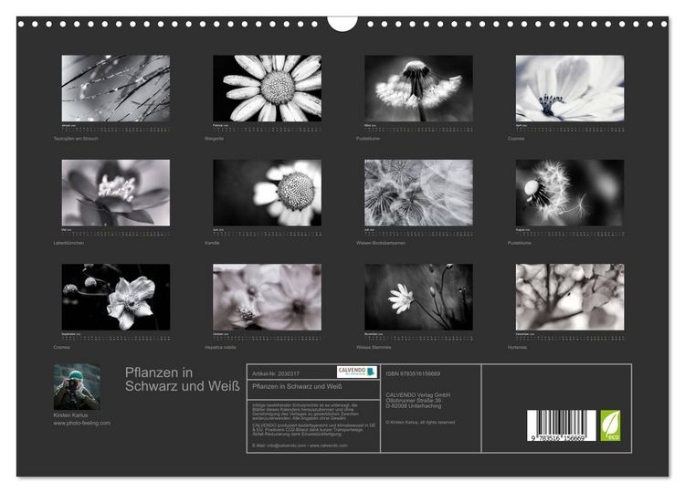 Produktbild: Pflanzen in Schwarz und Wei&szlig; (Wandkalender 2026 DIN A3 quer), CALVENDO Monatskalender