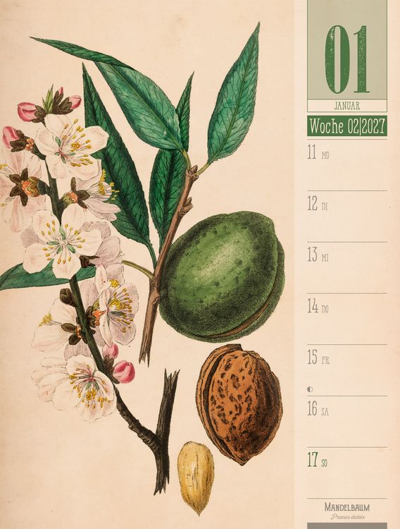 Produktbild: Culinarium Wochenplaner Kalender 2027 | K&uuml;che, Kr&auml;uter, Kurioses
