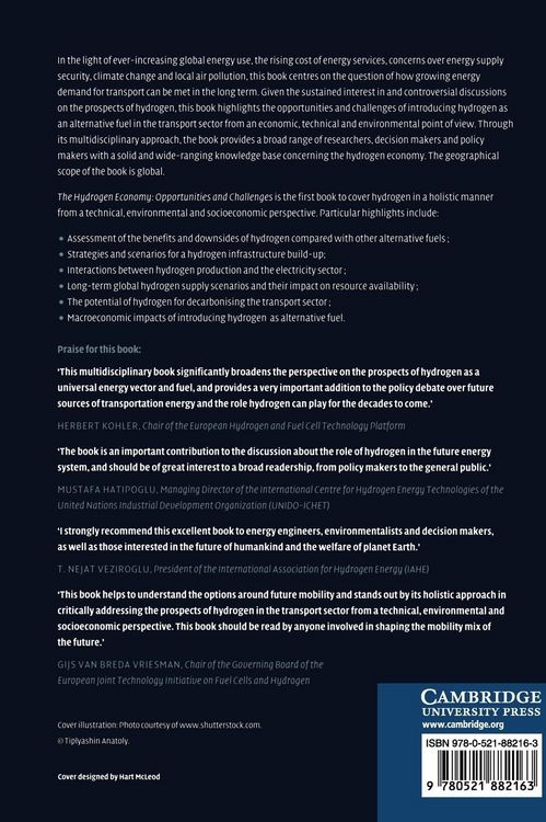 Produktbild: The Hydrogen Economy
