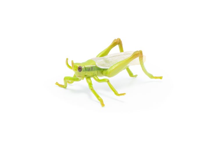Produktbild: Spielfigur Heuschrecke 7cm