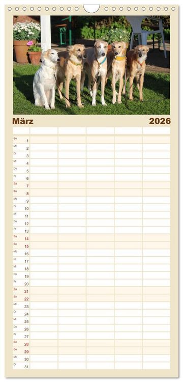 Produktbild: Familienplaner 2026 - Der Silken Windsprite - ein Seelenhund mit 5 Spalten (Wandkalender, 21 x 45 cm) CALVENDO
