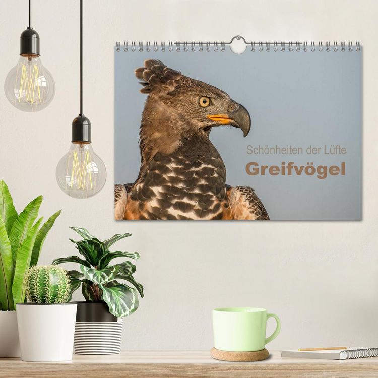 Produktbild: Sch&ouml;nheiten der L&uuml;fte - Greifv&ouml;gel (Wandkalender 2026 DIN A4 quer), CALVENDO Monatskalender