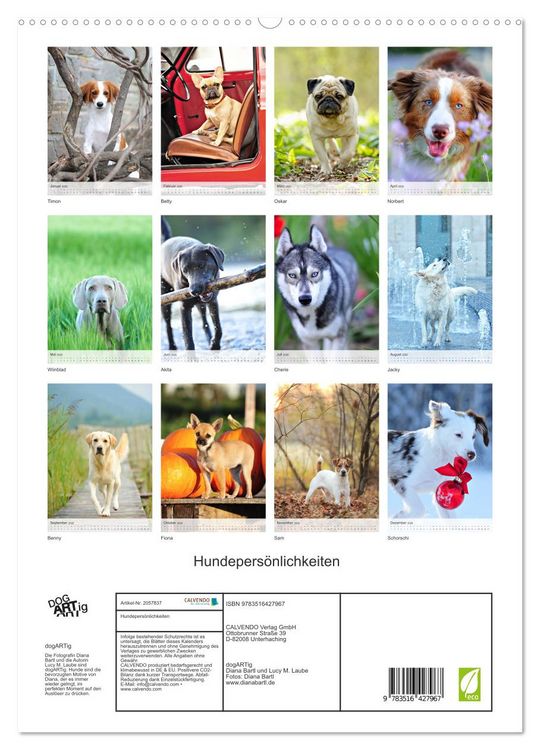 Produktbild: Hundepers&ouml;nlichkeiten (hochwertiger Premium Wandkalender 2026 DIN A2 hoch), Kunstdruck in Hochglanz