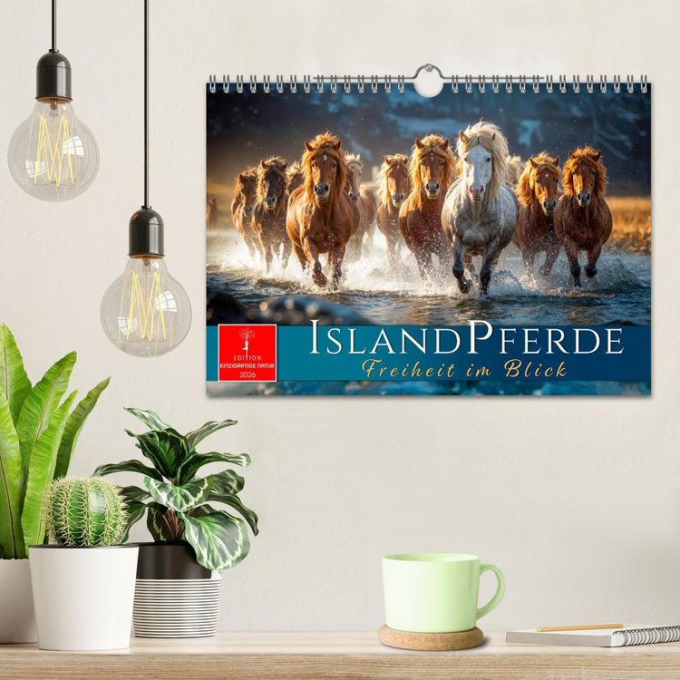 Produktbild: Islandpferde - Freiheit im Blick (Wandkalender 2026 DIN A4 quer), CALVENDO Monatskalender