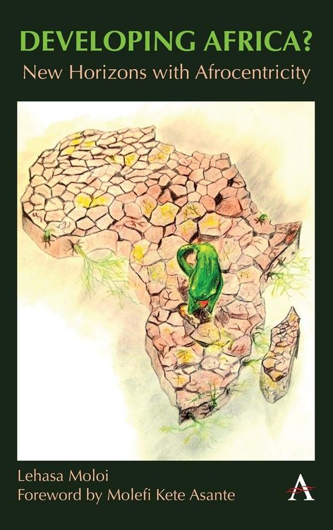 Produktbild: Developing Africa?