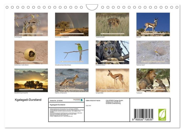 Produktbild: Kgalagadi-Durstland (Wandkalender 2026 DIN A4 quer), CALVENDO Monatskalender
