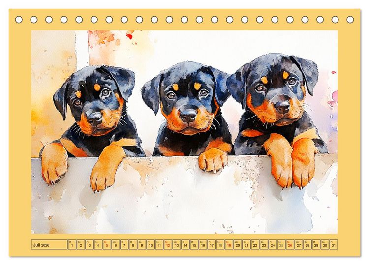Produktbild: Kraftvolle Rottweiler. Stattliche Begleithunde im Aquarell-Stil (Tischkalender 2026 DIN A5 quer), CALVENDO Monatskalender
