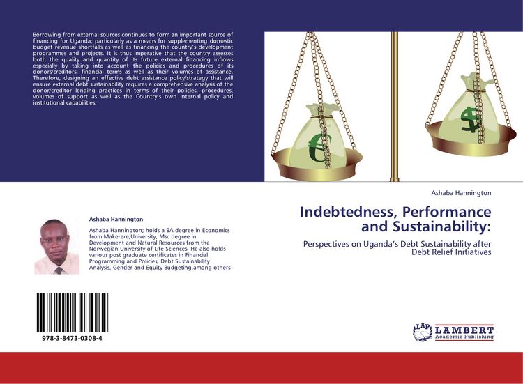Produktbild: Indebtedness, Performance and Sustainability: