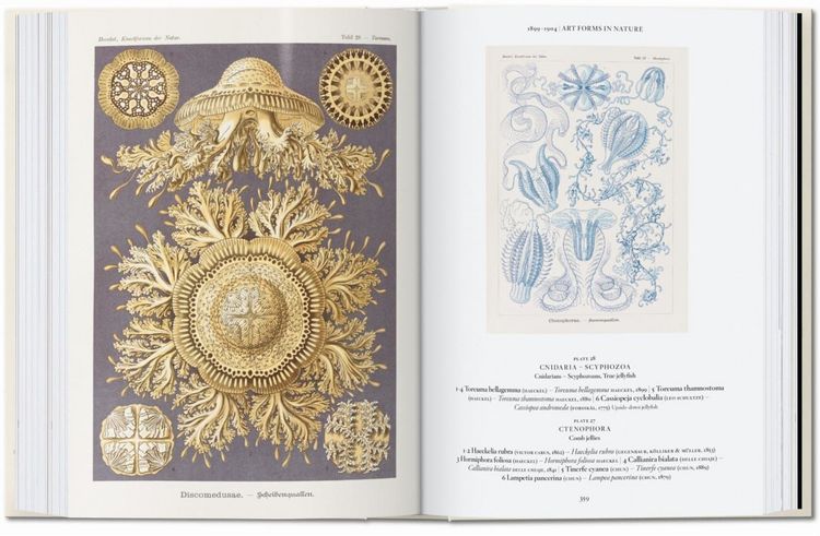 Produktbild: The Art and Science of Ernst Haeckel