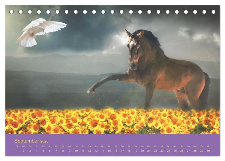 Produktbild: Von der Magie der Pferde (Tischkalender 2026 DIN A5 quer), CALVENDO Monatskalender