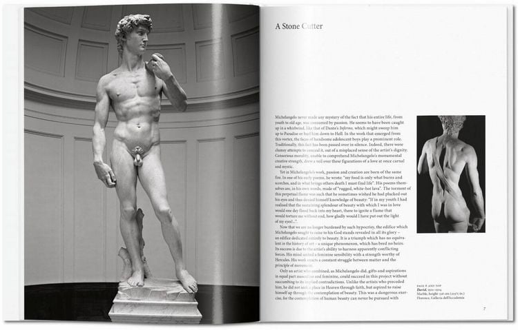 Produktbild: Michelangelo
