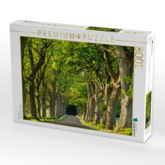 Produktbild: CALVENDO Puzzle R&uuml;gens Alleen | 1000 Teile Lege-Gr&ouml;&szlig;e 64x48cm Foto-Puzzle f&uuml;r gl&uuml;ckliche Stunden