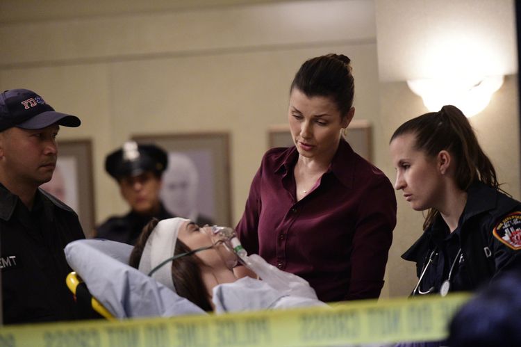 Produktbild: Blue Bloods - Staffel 5 [6 DVDs]