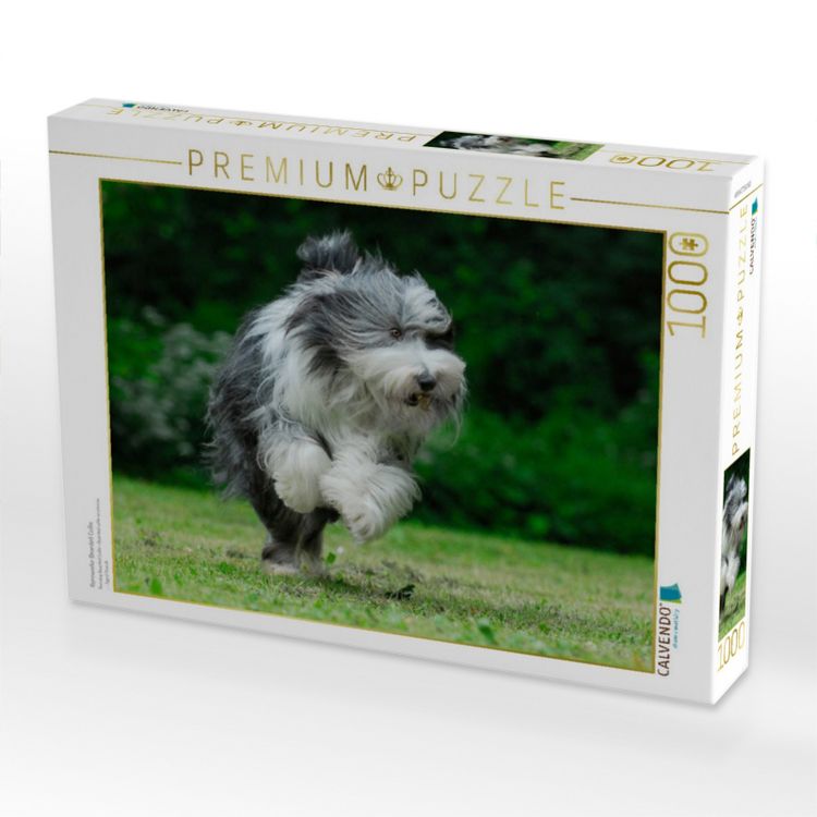Produktbild: CALVENDO Puzzle Rennender Bearded Collie | 1000 Teile Lege-Gr&ouml;&szlig;e 64x48cm Foto-Puzzle f&uuml;r gl&uuml;ckliche Stunden