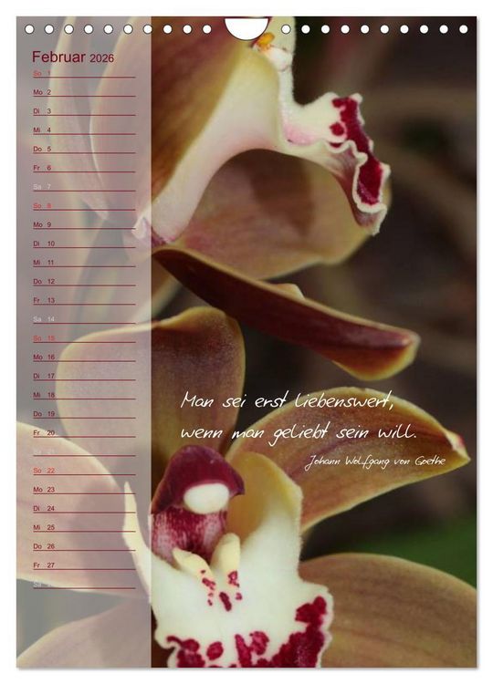 Produktbild: Blumen & Zitate / Geburtstagskalender (Wandkalender 2026 DIN A4 hoch), CALVENDO Monatskalender
