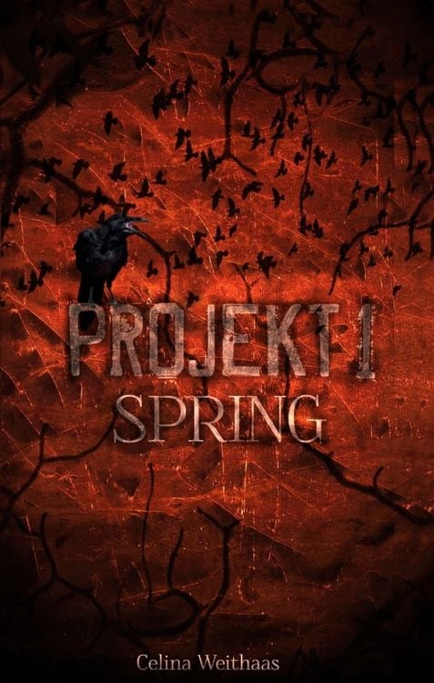 Bild vom Artikel Spring - Projekt I vom Autor Celina Weithaas