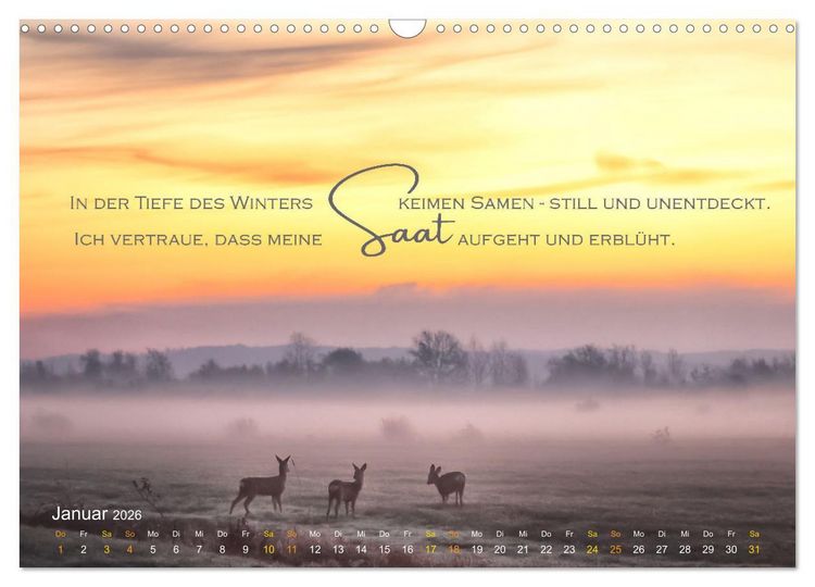 Produktbild: Vertraue! (Wandkalender 2026 DIN A3 quer), CALVENDO Monatskalender