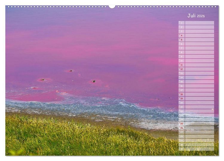 Produktbild: Ein Sommer auf Texel (Wandkalender 2026 DIN A2 quer), CALVENDO Monatskalender