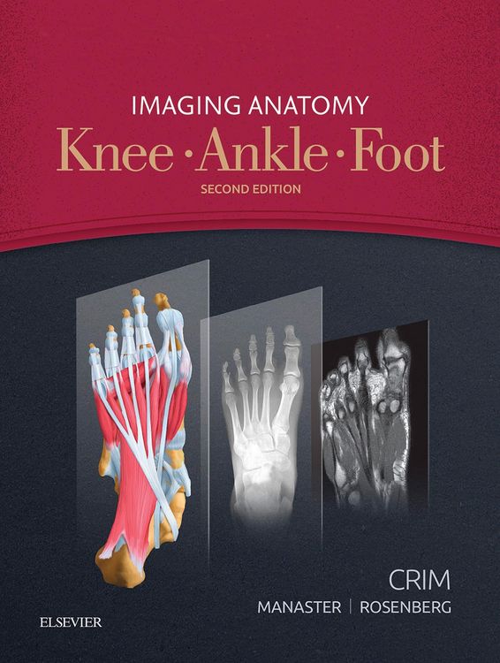 Produktbild: Imaging Anatomy: Knee, Ankle, Foot E-Book