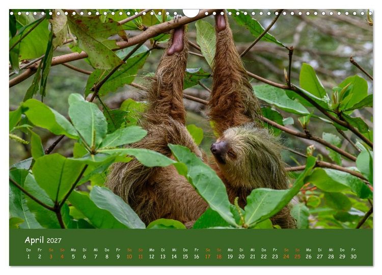 Produktbild: Costa Rica - Naturparadies zwischen Karibik und Pazifik (Wandkalender 2027 DIN A3 quer), CALVENDO Monatskalender