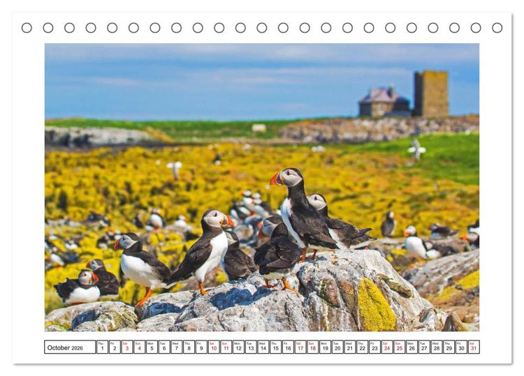 Produktbild: Enchanting England (Desk Calendar 2026 DIN A5 landscape), CALVENDO 12 Month DeskCalendar