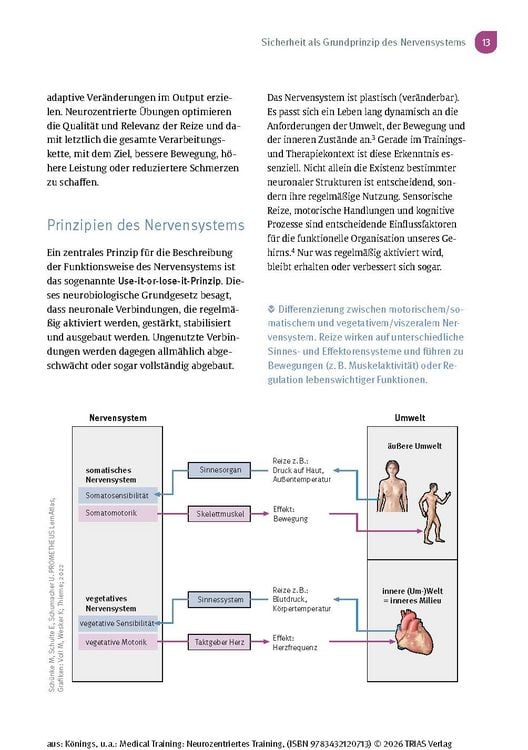 Produktbild: Medical Training: Neurozentriertes Training