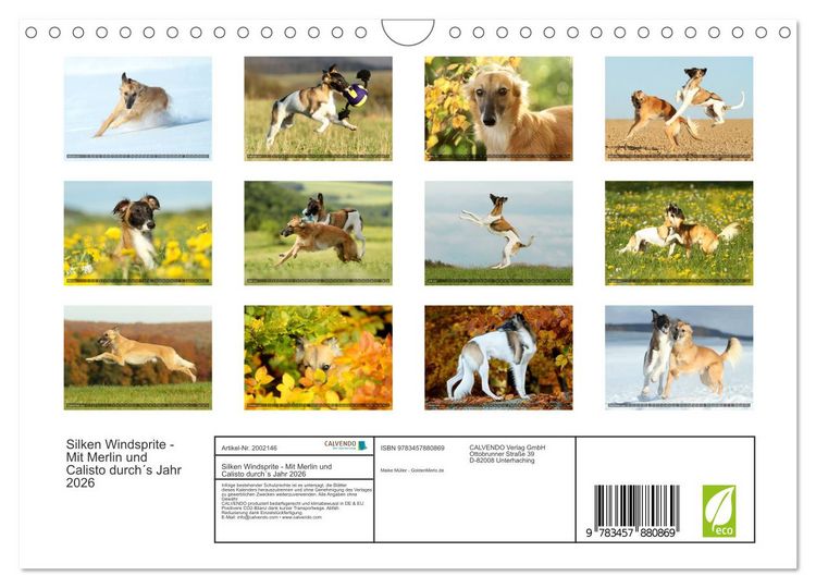 Produktbild: Silken Windsprite - Mit Merlin und Calisto durch&acute;s Jahr 2026 (Wandkalender 2026 DIN A4 quer), CALVENDO Monatskalender