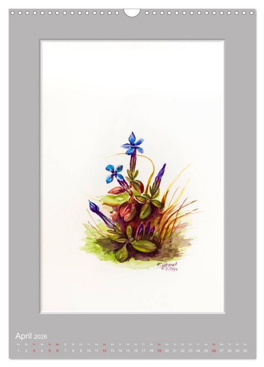 Produktbild: Alpenblumen Aquarelle aus Tirol (Wandkalender 2026 DIN A3 hoch), CALVENDO Monatskalender