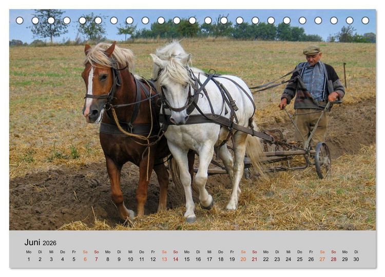 Produktbild: Joachimsthal am Rand der Schorfheide (Tischkalender 2026 DIN A5 quer), CALVENDO Monatskalender