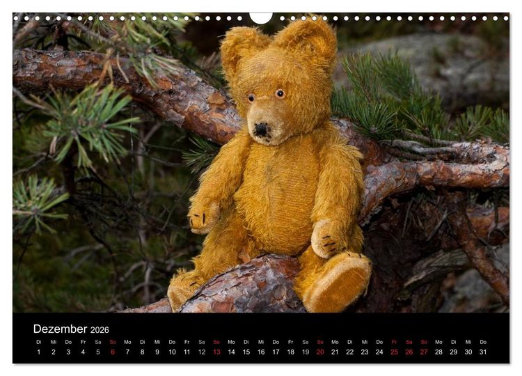Produktbild: Teddy Basse, Fortsetzung... (Wandkalender 2026 DIN A3 quer), CALVENDO Monatskalender