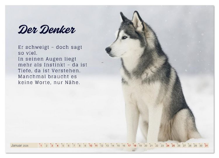 Produktbild: Hunde mit Charakter (Wandkalender 2026 DIN A2 quer), CALVENDO Monatskalender