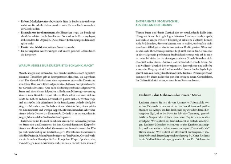 Produktbild: Der stille Dickmacher