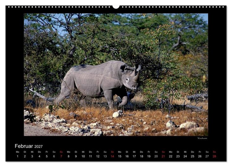 Produktbild: Wildtiere im Etosha Nationalpark (Wandkalender 2027 DIN A2 quer), CALVENDO Monatskalender