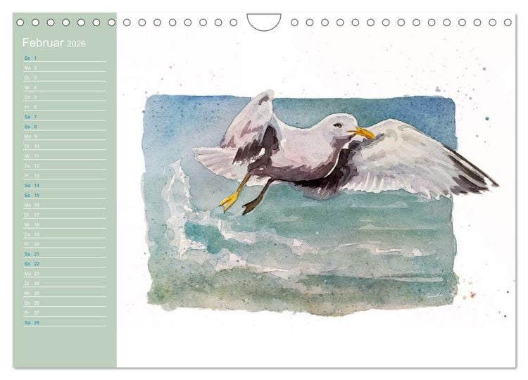 Produktbild: M&ouml;wen - Aquarelle von Julia Pasinski (Wandkalender 2026 DIN A4 quer), CALVENDO Monatskalender