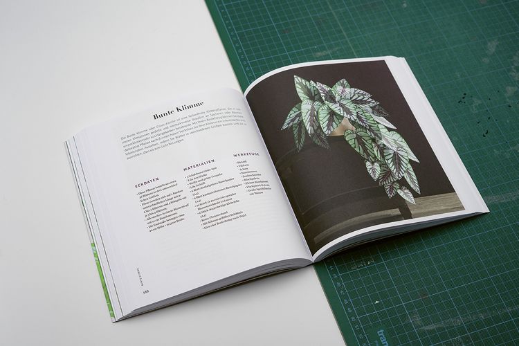Produktbild: Zimmerpflanzen aus der Papierwerkstatt