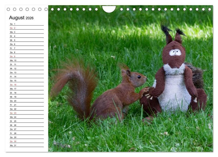 Produktbild: Mit dem Eichh&ouml;rnchen durchs Jahr (Wandkalender 2026 DIN A4 quer), CALVENDO Monatskalender