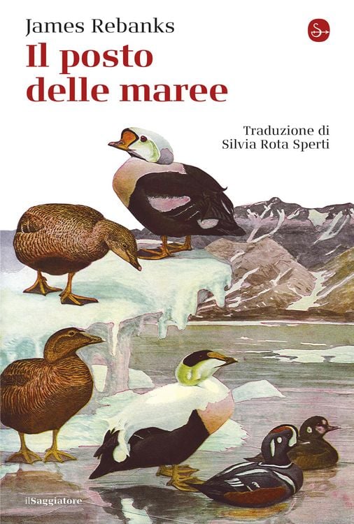 Produktbild: Il posto delle maree